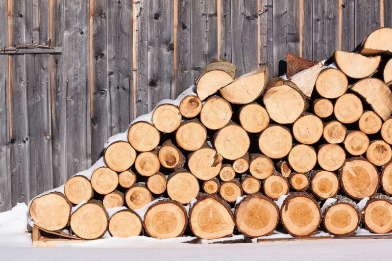 White Pine Firewood as a Good Choice - Wood Dad