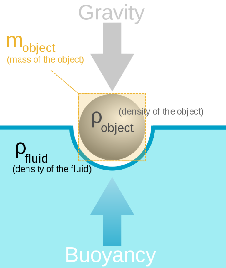 How Do Wood Float On Water at Robert Post blog