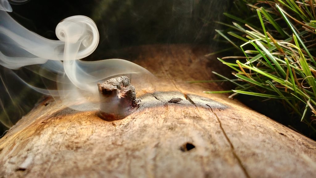 What Wood Is Toxic To Burn? Wood Dad