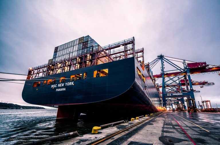 Why Does Wood Float on Water? Wood Dad