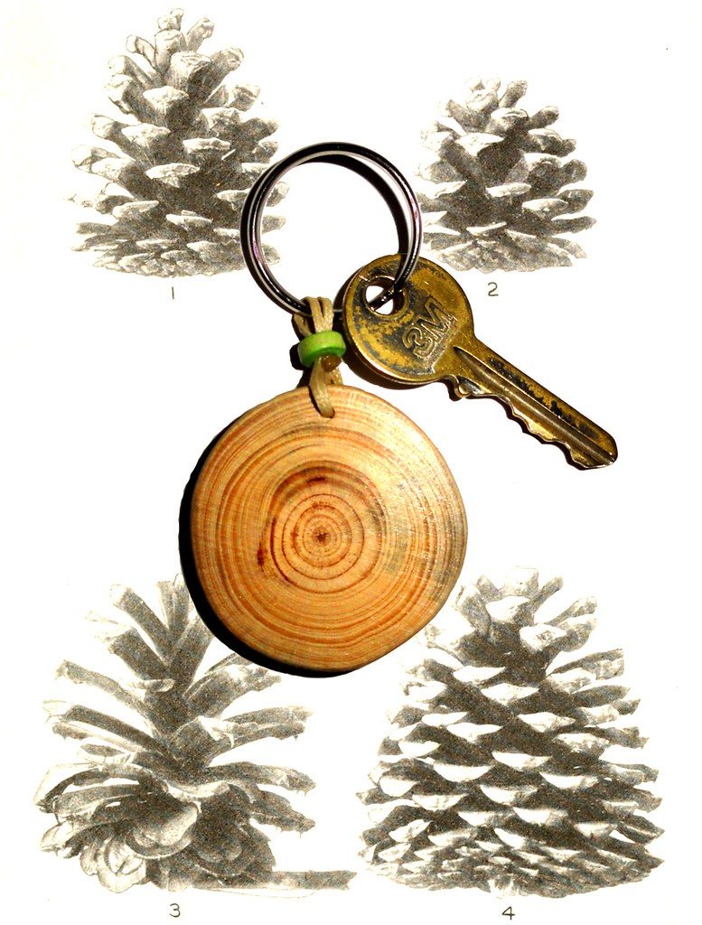 wooden keychain