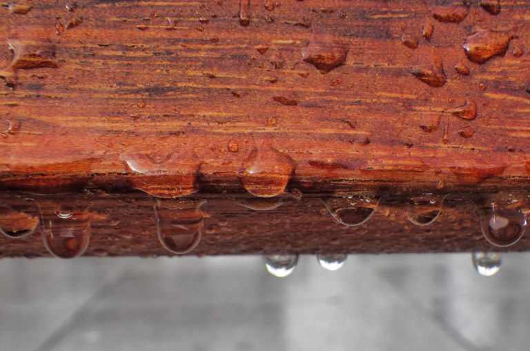 Seasoned Wood, Everything You Need to Know Wood Dad