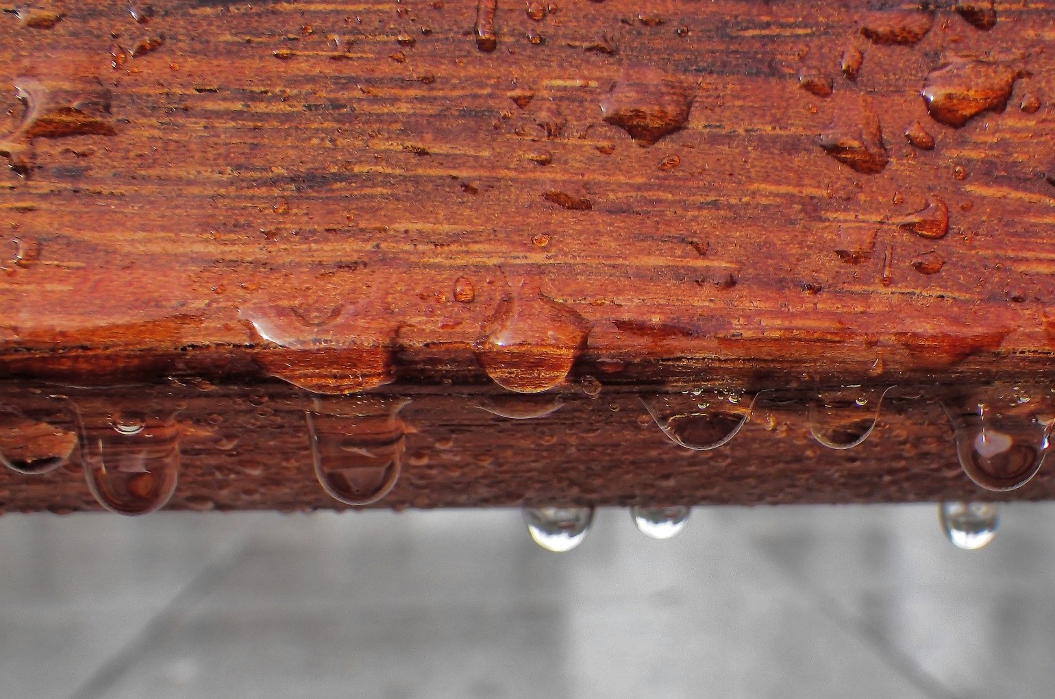 Seasoned Wood, Everything You Need to Know Wood Dad