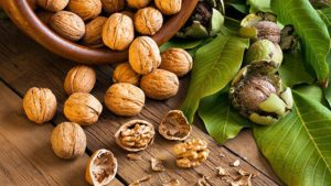 What Does a Walnut Tree Look Like? - Wood Dad