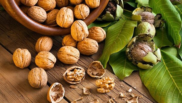 What Does a Walnut Tree Look Like? - Wood Dad