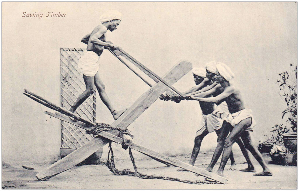sawing_timber_india_old_photo