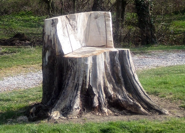 chair stump tree