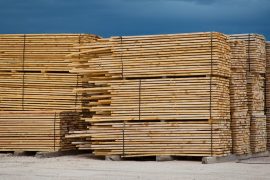 Lumber Market Outlook